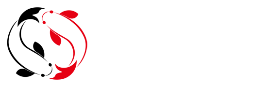 彩神(Vll)股份有限公司 - 追求健康一起成长